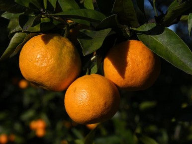 ���������: �������� �������� � ������ �� ������