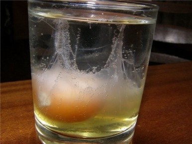 ����� ���� ��� ���������� ��� ������ ��������