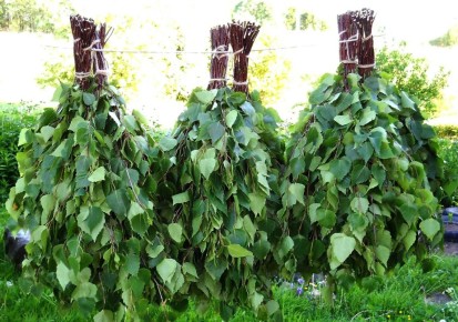 ��� ������� ���� �������� 80 ����� ������ �� ����� �� ������� ������� ��� ����