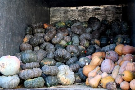 �����: ��� ������� ����, ��������� ������ � ������������ ��� ���������