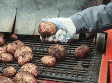 ���� �� ��������: ��� ����� ������ 2026 ����