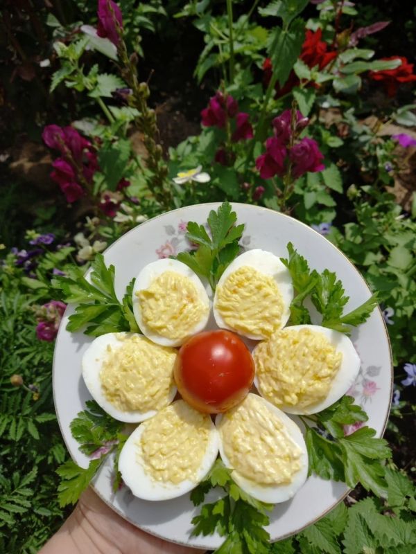 ������������� ����: ��������� ������� ��� ������� �������