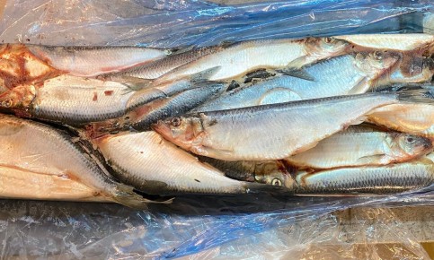 ��� ��������� ������ � �������� ������: ������� �� ��������