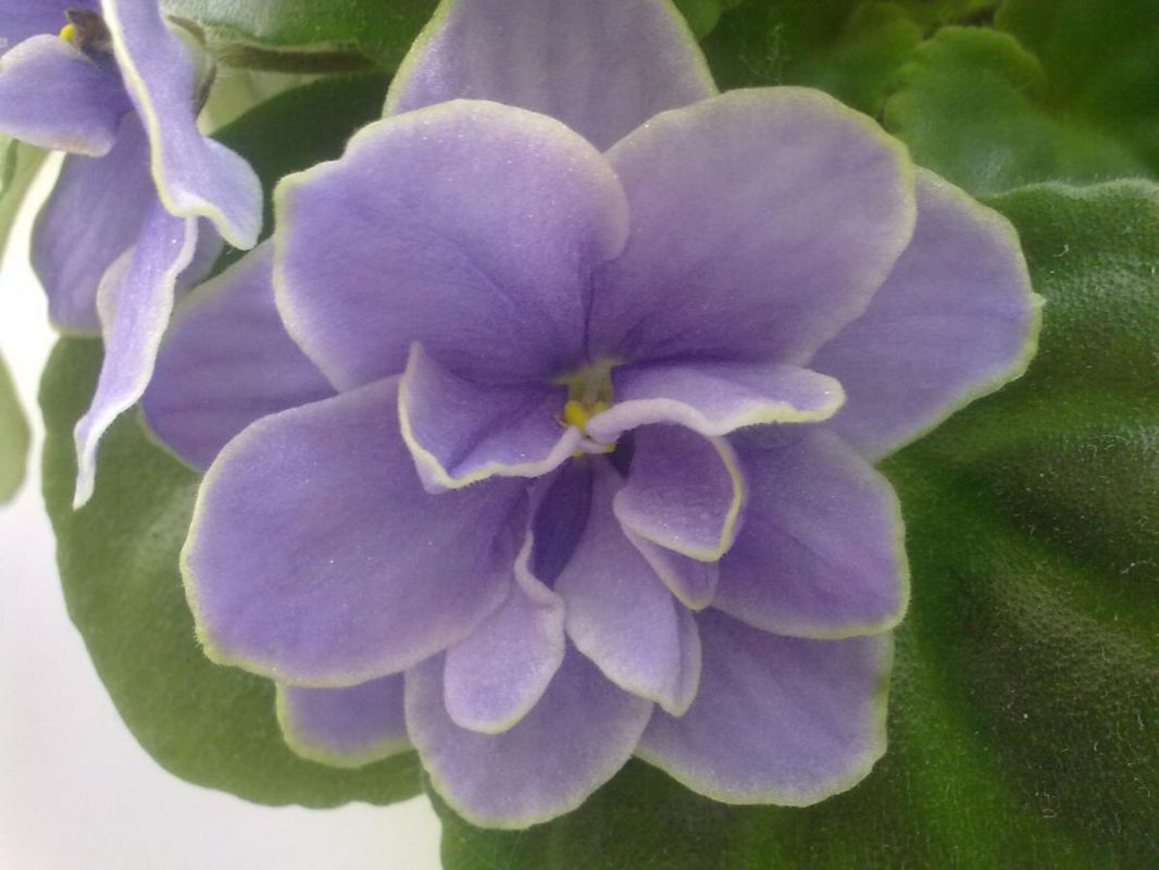 �� �������: ������ �� �������������� ��������� �������� �� ������ ������