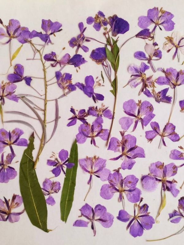 ����-���: ������� �������� ������� � ����������� ������� ������