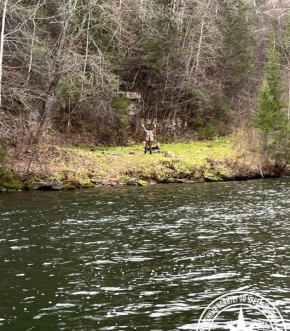 Грибник потерялся в лесу у Павловского водохранилища: спасение прошло успешно