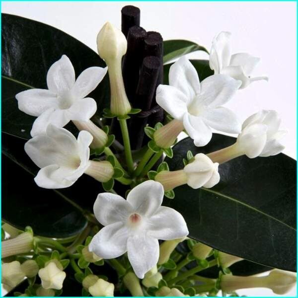 ����������: ���������� ������ ��� ������ ����