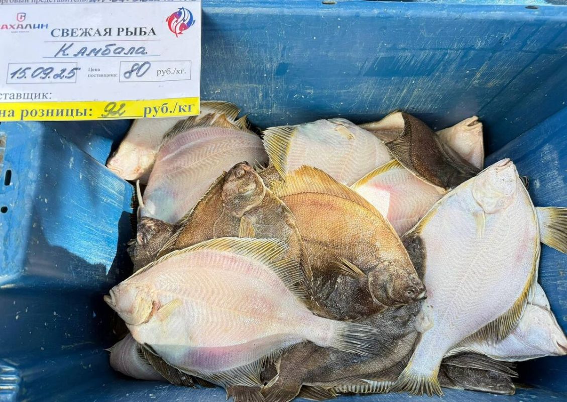 ������ ������� ����� �� 92 ���/�� �� �������� � ������ ������