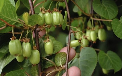 ����� �������� ���������: �������� ������ � ������������