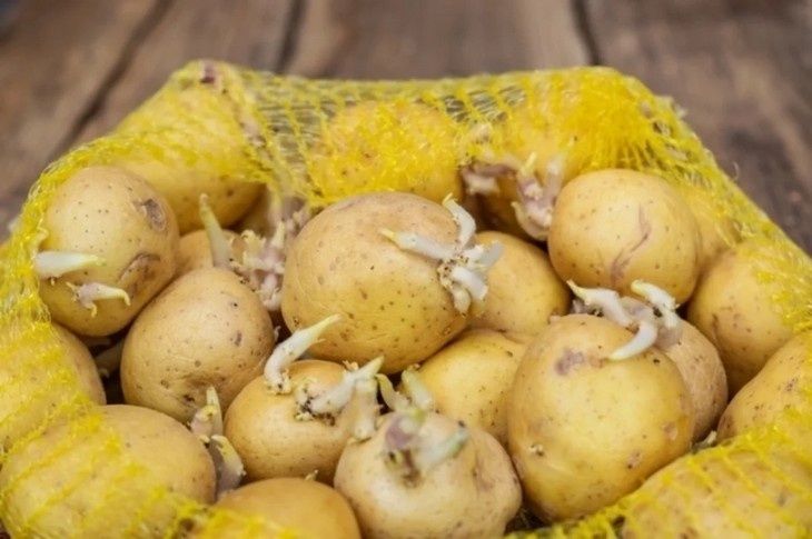 ��� ���������� ��������� ��������� �� �����