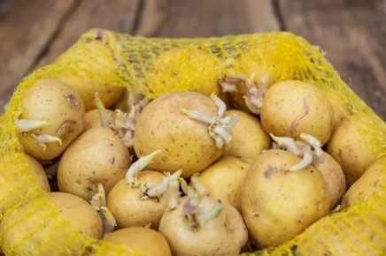 ��� ���������� ��������� ��������� �� �����