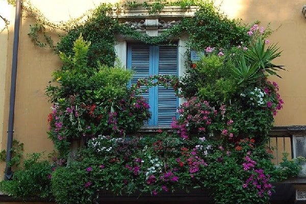 Цветочный рай на балконе: как создать идеальное пространство для зелени