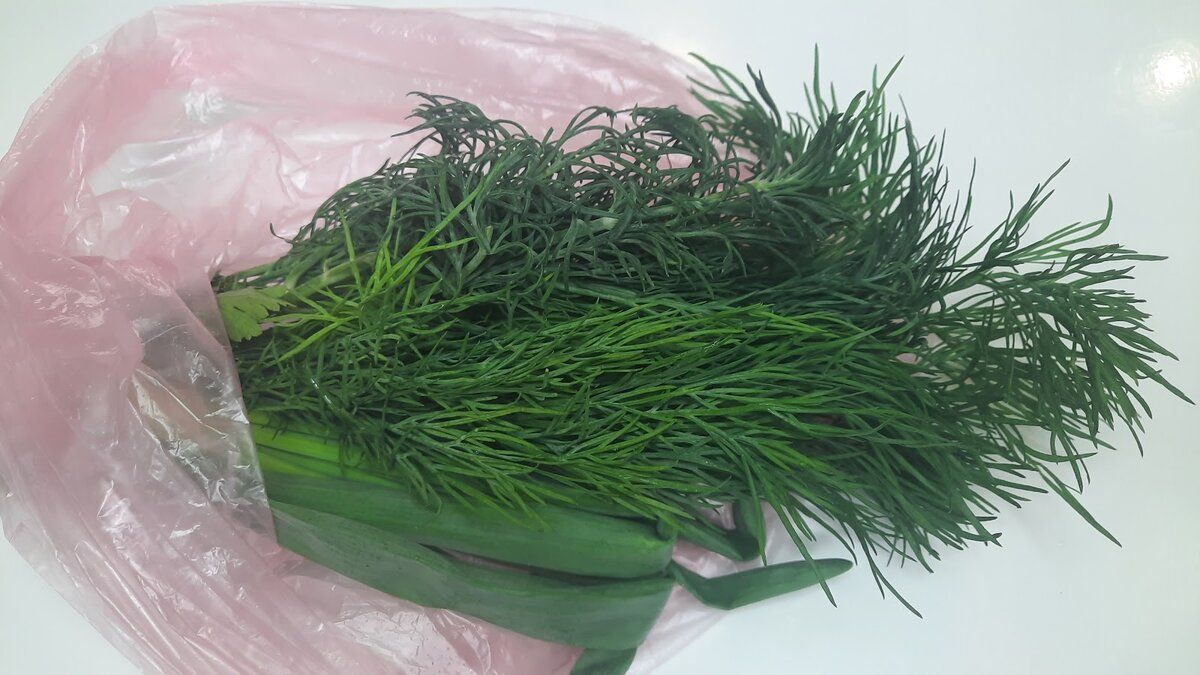 ��� ��������� �������� ������: ��� ��������� ������