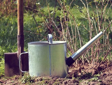 ��������� � �����: ������� �������� ������� ���������