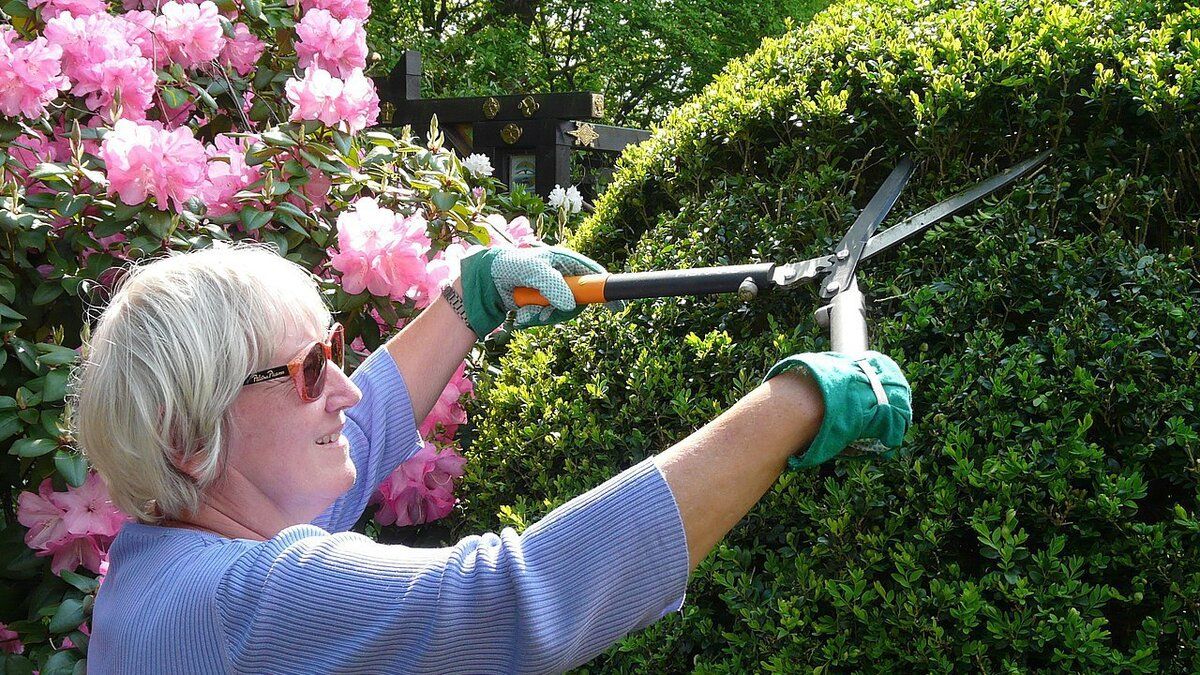 �������� ������������: ������� ������� �����������