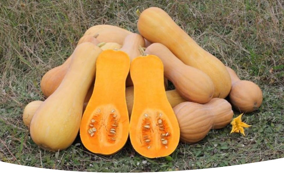 ��������� �����: ������� ��������� �����������