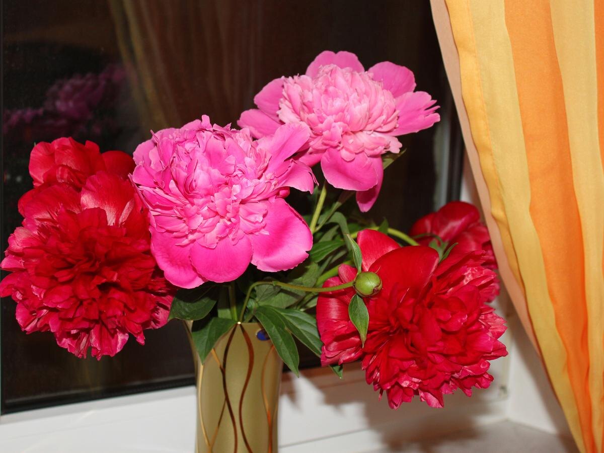 Как вернуть увядающим цветам жизнь с помощью простых ингредиентов