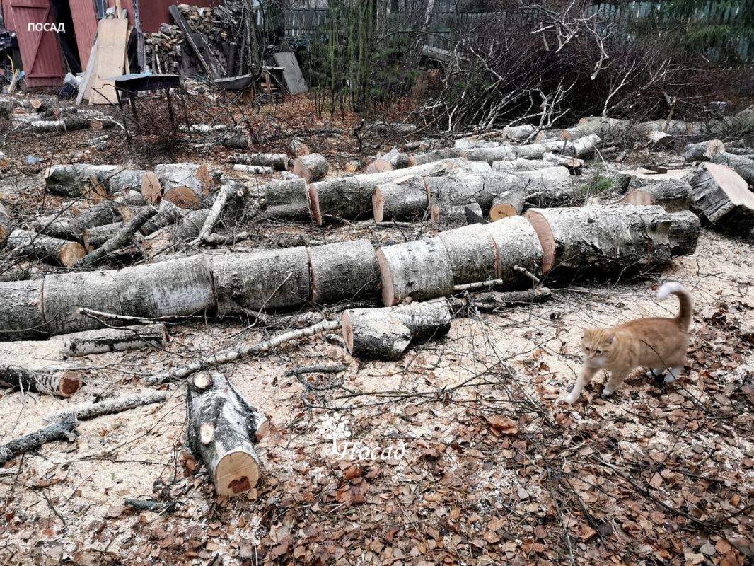 ��� �������� ��������� ���������� �� ���� �� ���� ��� ������ ������