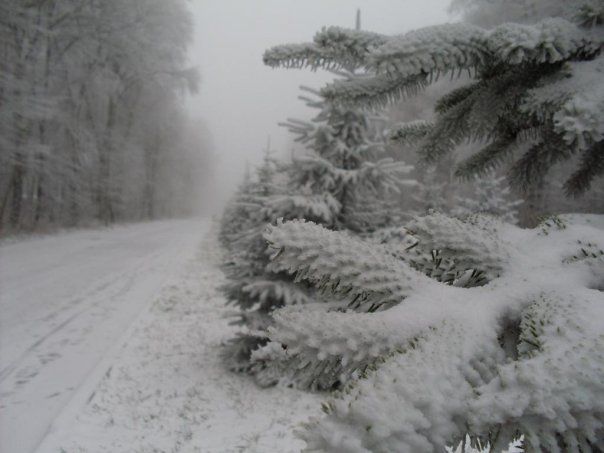 ��� ��������� ������������� ���������� ����: ������ ������