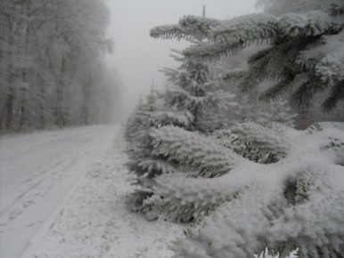 ��� ��������� ������������� ���������� ����: ������ ������