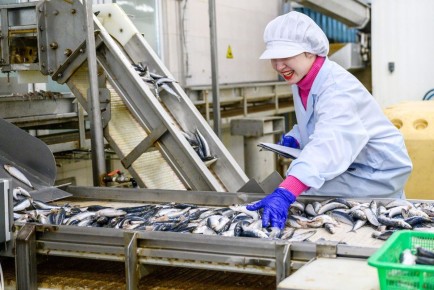 Россия нацелена на рекордный экспорт рыбы в текущем году