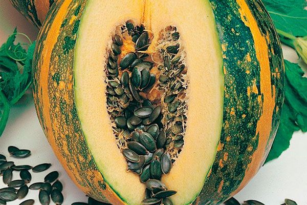 ��������� ����� ����������: ���� ������� � ����������� ����������