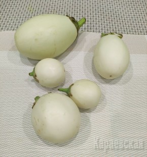 Фаршированные овощи: новый взгляд на классическое блюдо