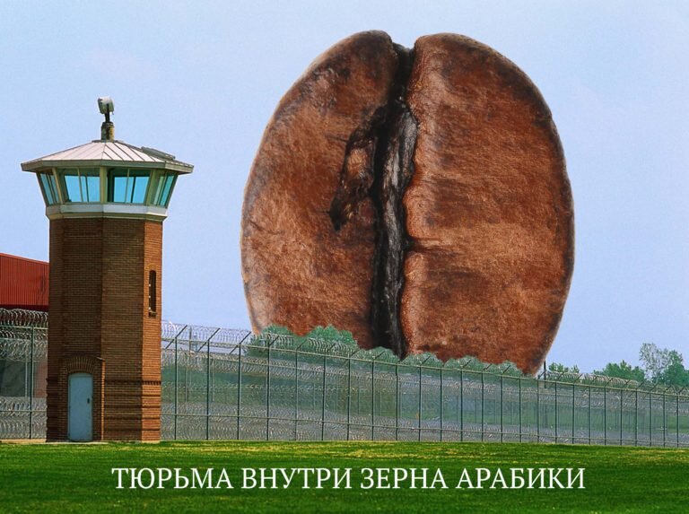 Кофе: как вкусность проходит через экстракцию