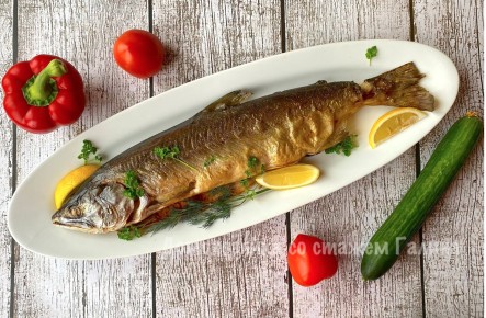 ������� �� ����������� ������ ����: �������� ��� ��������� ����