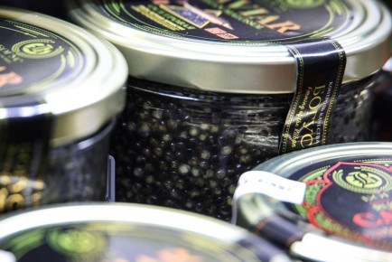 ��� ���������� ���������� ������ ����: ������ ���������