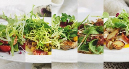 ������, ������� �����������: �� �������� �� �����