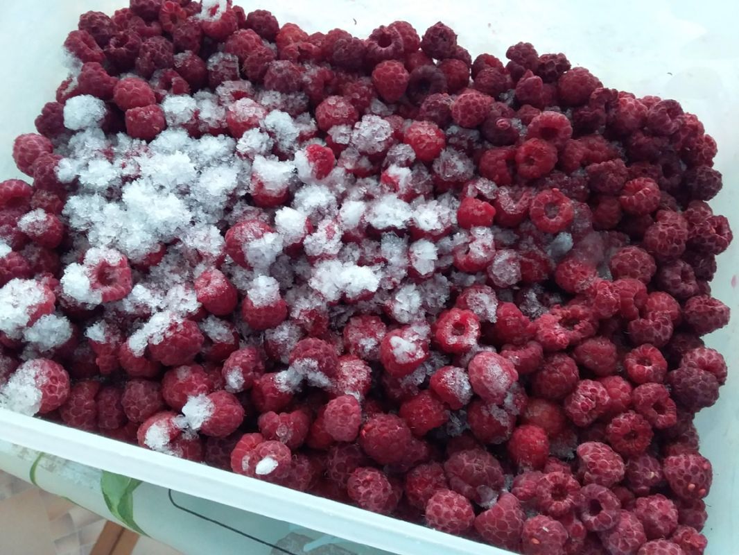 Весенние семейные традиции, которые порадуют ваших детей