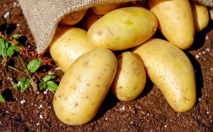 ������ ��������� ������: ��� ��� ������ ��� ������� ��������?