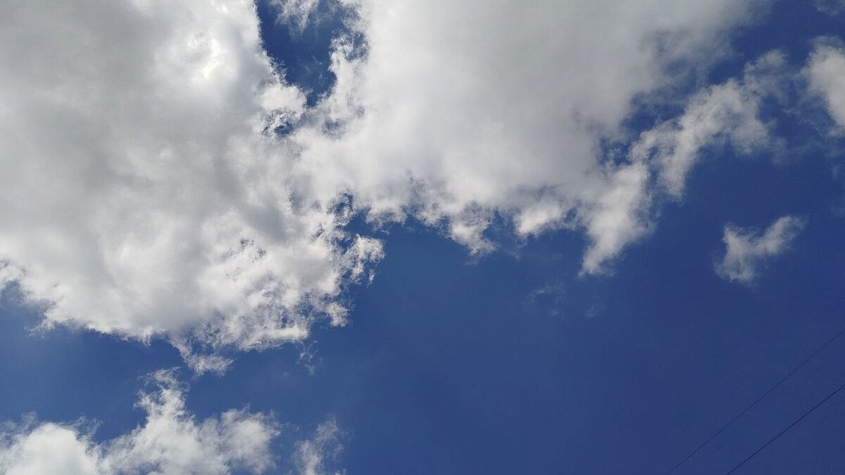 Эстония прощается с финским мороженым: покупатели выбирают местное