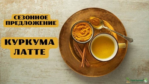 �������� �����������: �������-����� ��� �������� � �������