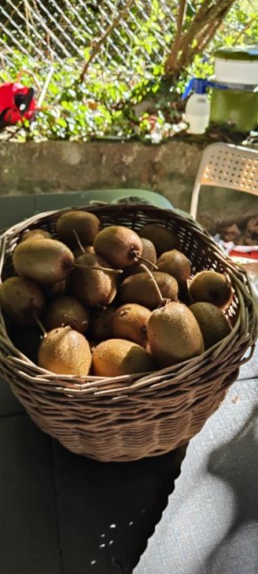 ����: �� �������� �� ����� ����