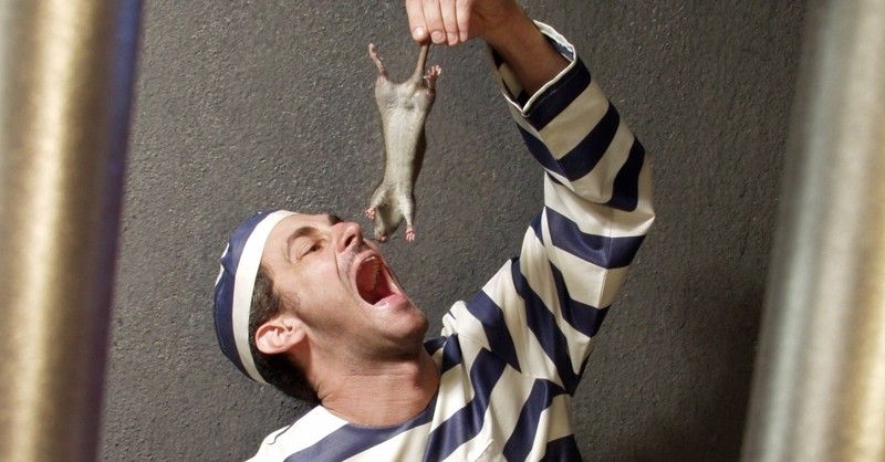 ��������� ��������� �����: ��� ���������� ���������� �� �������� �����?