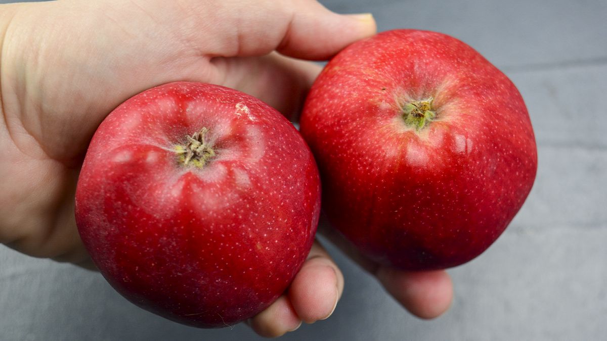 Уникальный яблочно-блинный пирог: просто и вкусно