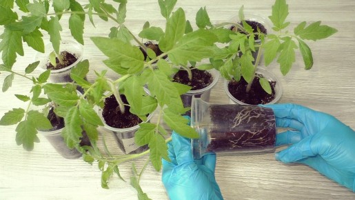 ���������� ��������� �������: ������� ��������� ����� �������