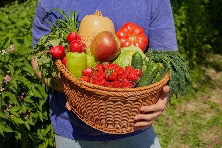 �������� ������: ��� ���� �� �������� � ��������?