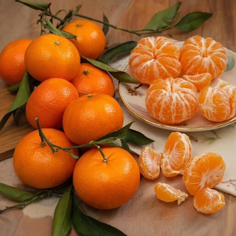 ��� ������� ��������� ��������� ��� ����������� �����