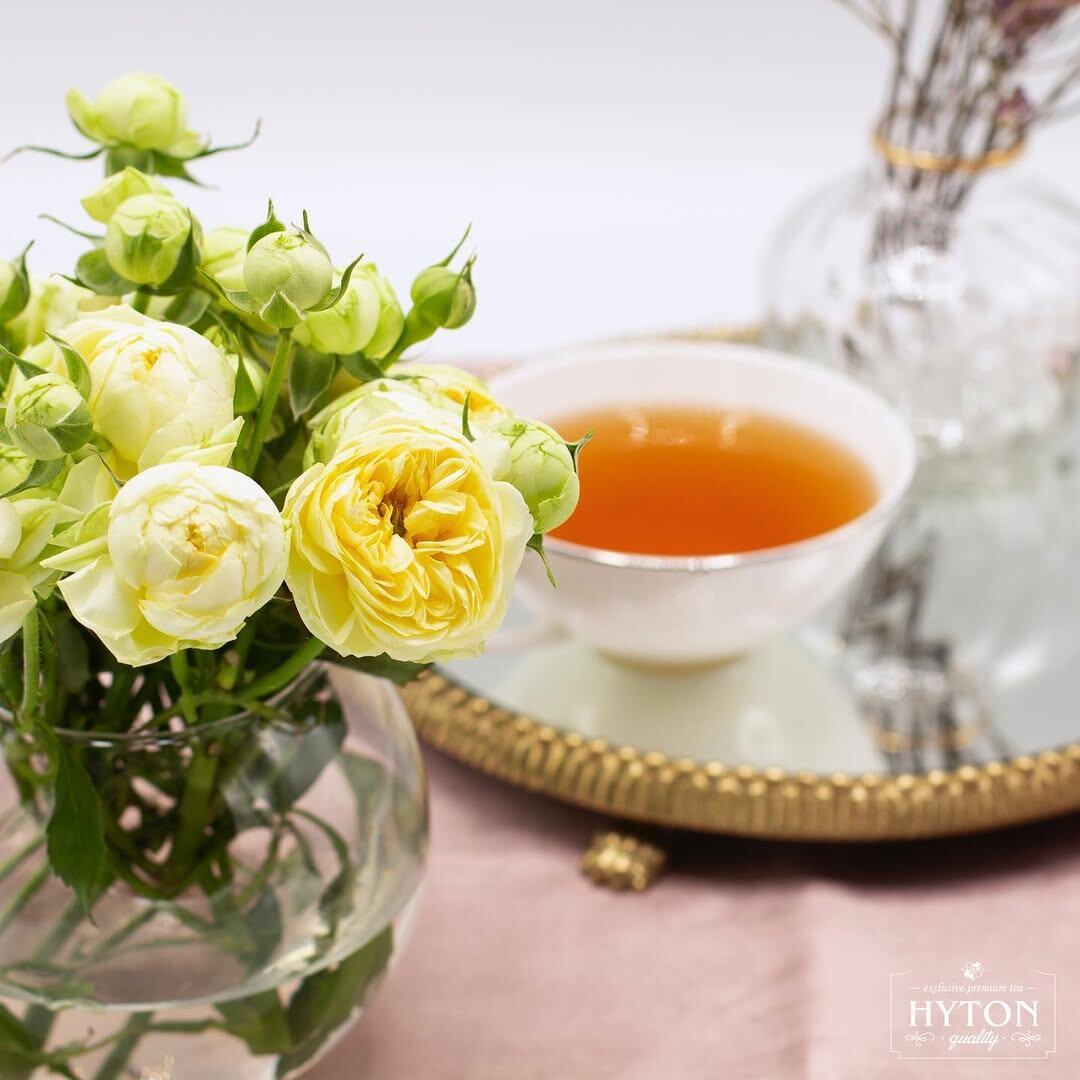 Японский секрет долголетия: как зелёный чай влияет на здоровье