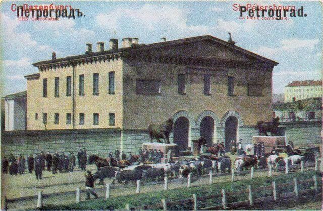 ��� ������� ��������� ������ ������� ���: �� ��������� �� �������������