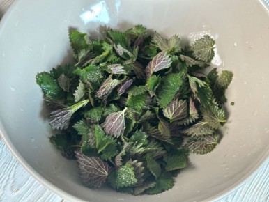 Весна на вкус: как использовать молодую крапиву в кулинарии