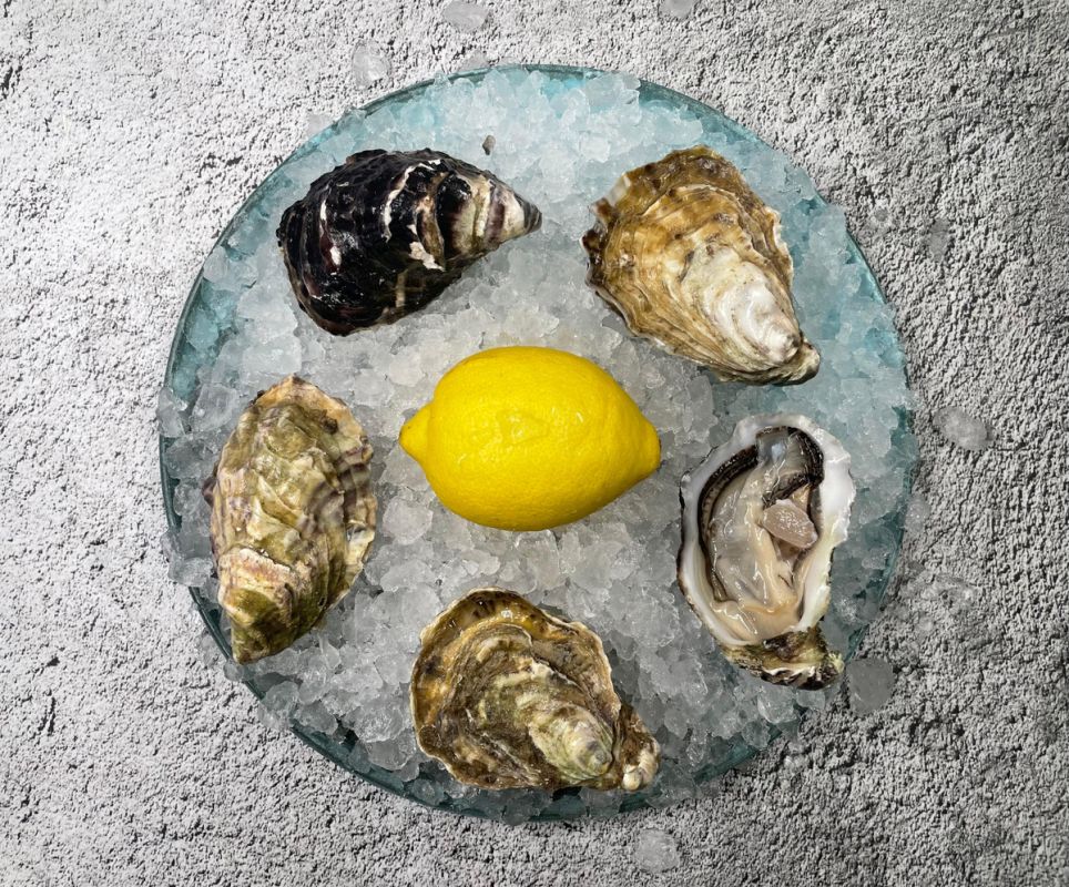 ������� ��� ������ ���������: ���� � ����������