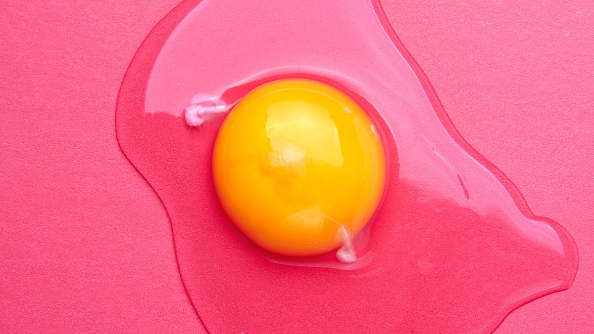 ����� ���� � vocal: ���� � ����������