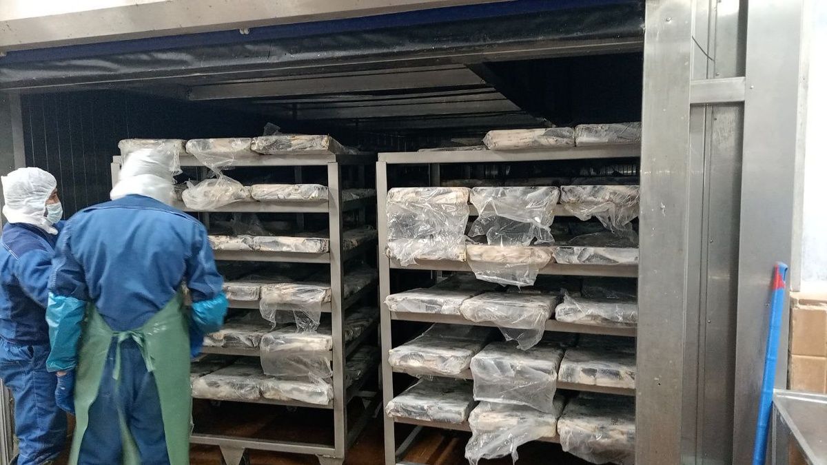 ����� ��������� ��� ����: �������� ������ ������� �� ���������� ���������