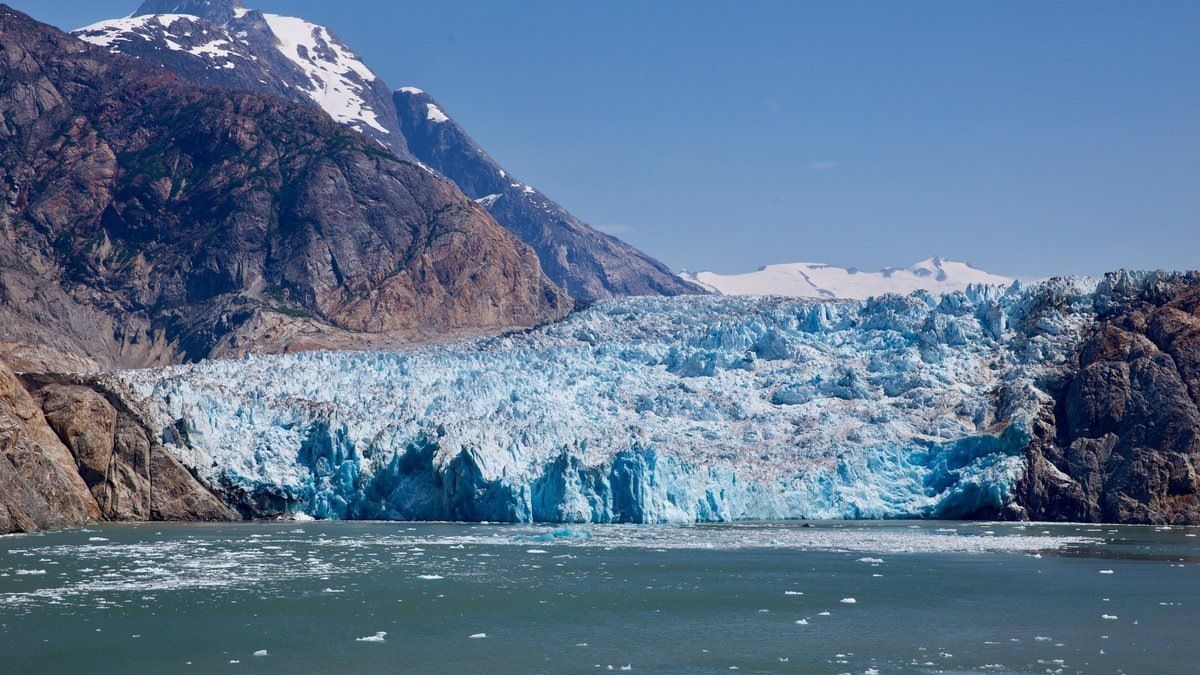 ������������� ��������� �������� ������ �������� �� ������