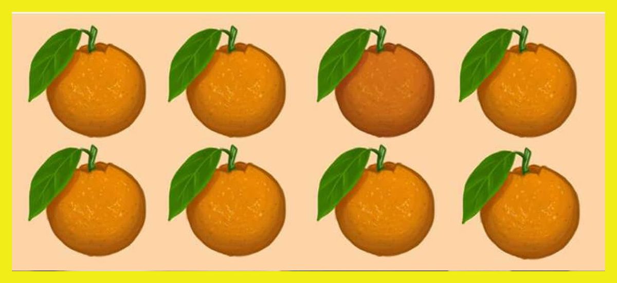 ������� ��������, ������� �� �����, ��� ������