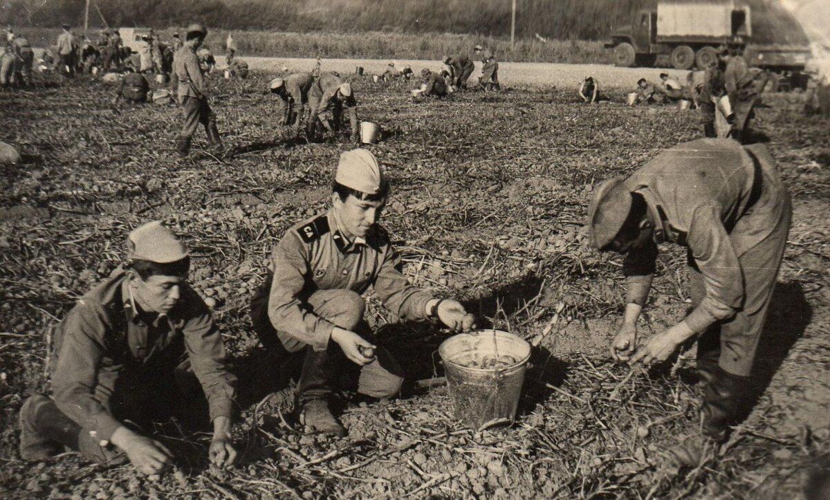 ��� ������� ������� �������� � ��������� �����